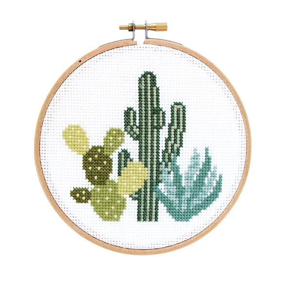 stitch  Cactus Bloom – Embroidery and Sage