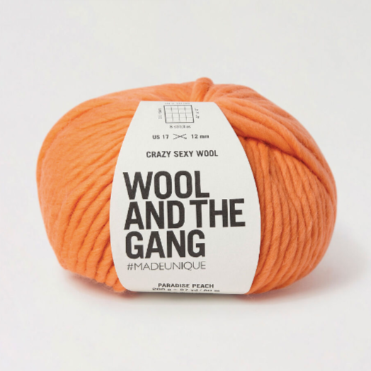 Wool and the Gang - Crazy Sexy Wool - Mini Hanks – Smitten Yarn Co.